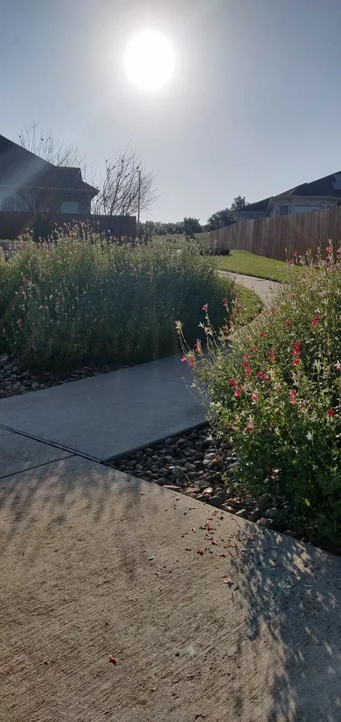 Path in Kezar Green Park in Knob Hill